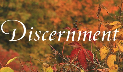 discernment